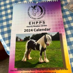 EHPPS 2024 Calendar