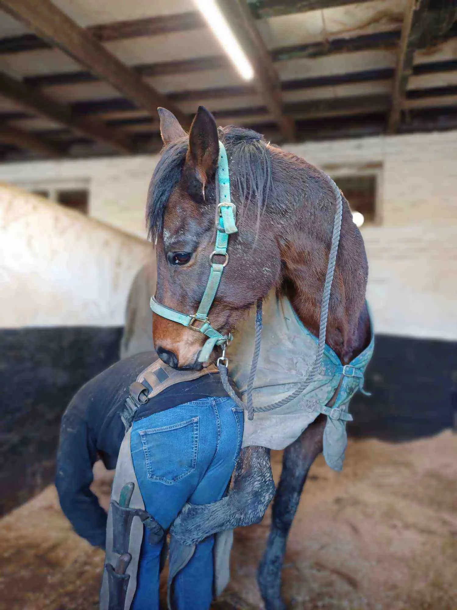 429508157 927379848919065 5118874952688052856 n