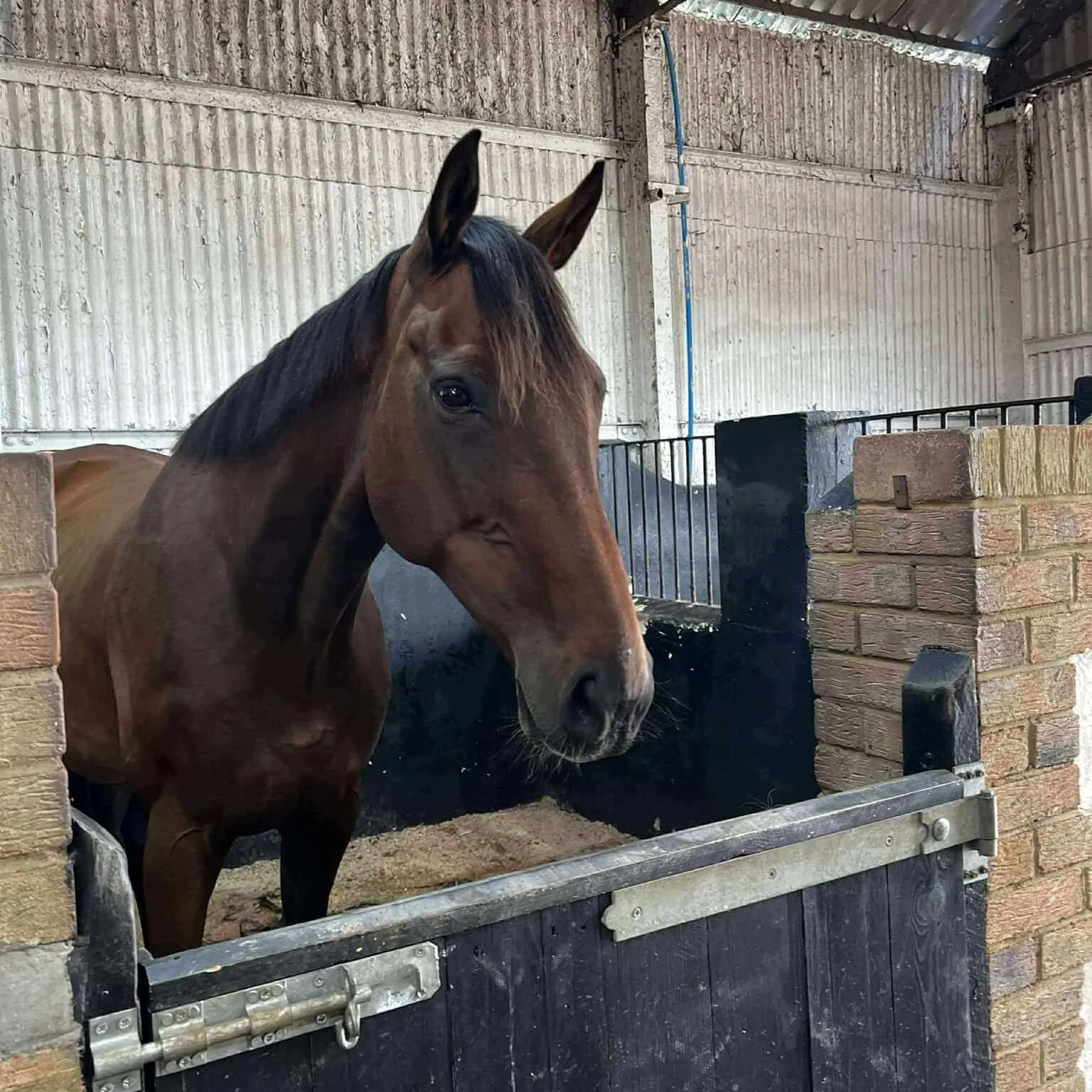 533011762 1138900118133494 5863884575630576817 n