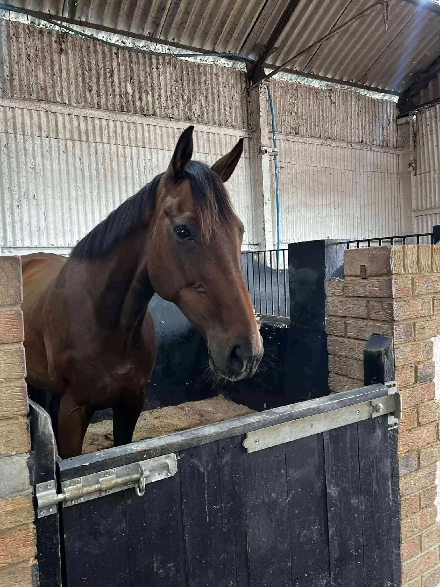 533011762 1138900118133494 5863884575630576817 n