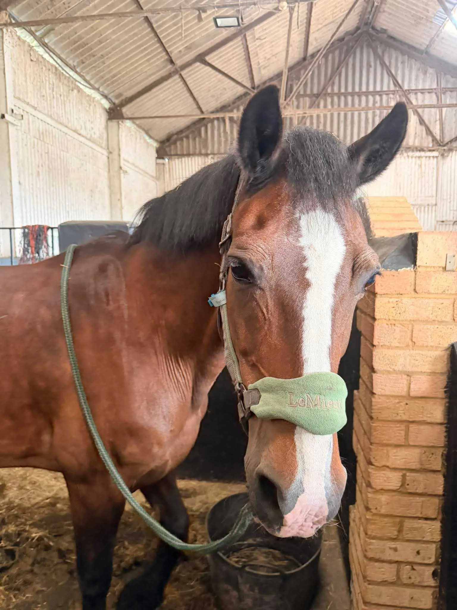 Image2