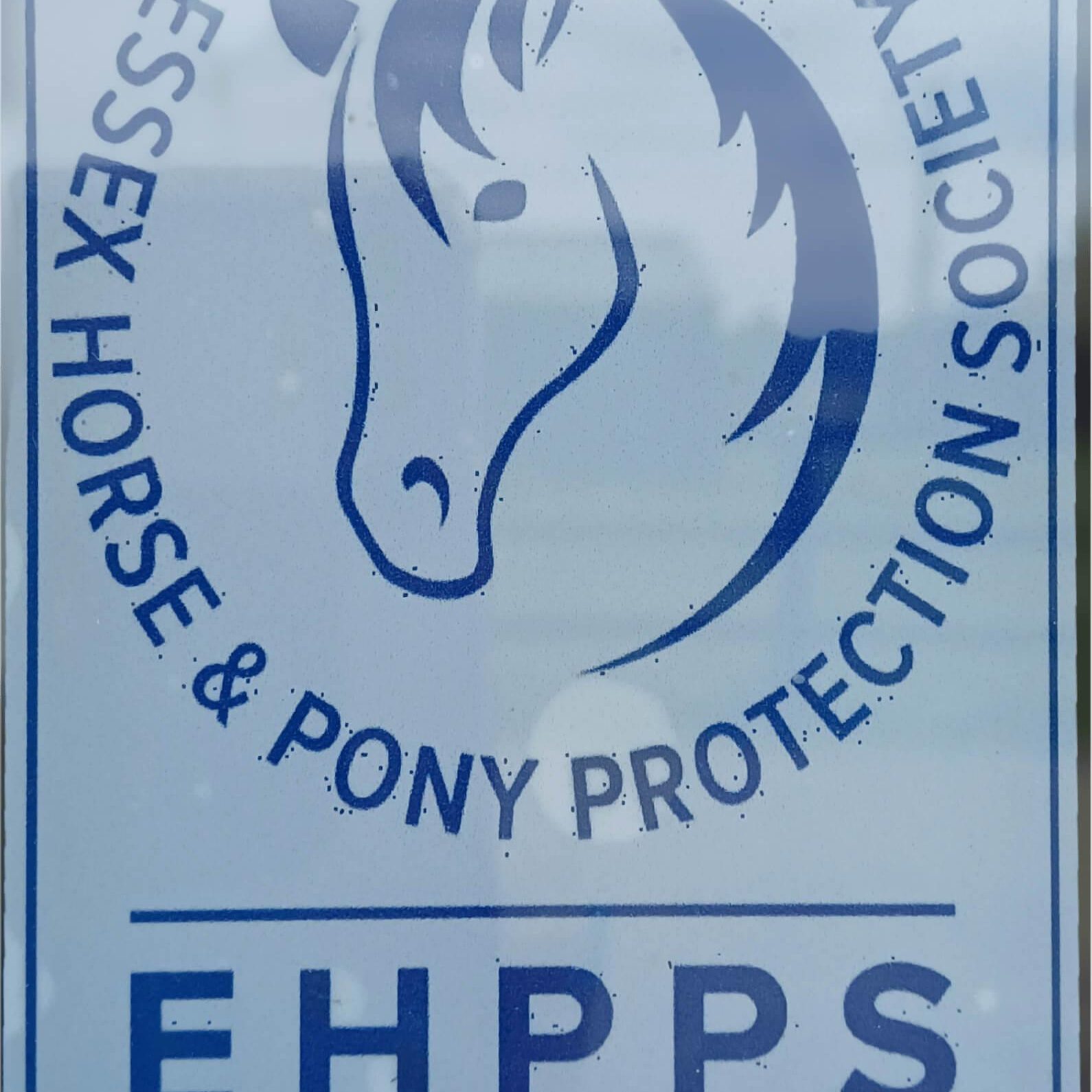 Car sticker