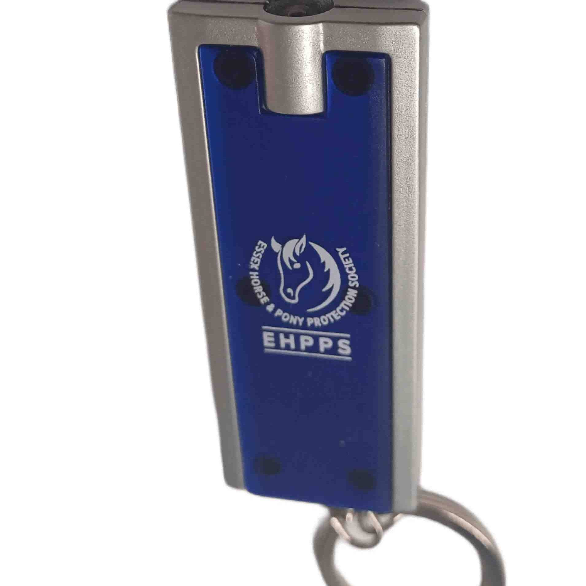 Torch keyring