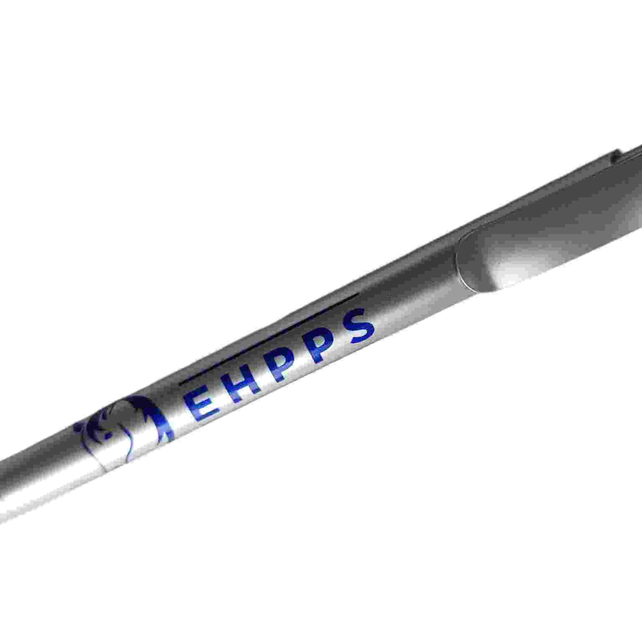 Silver pen