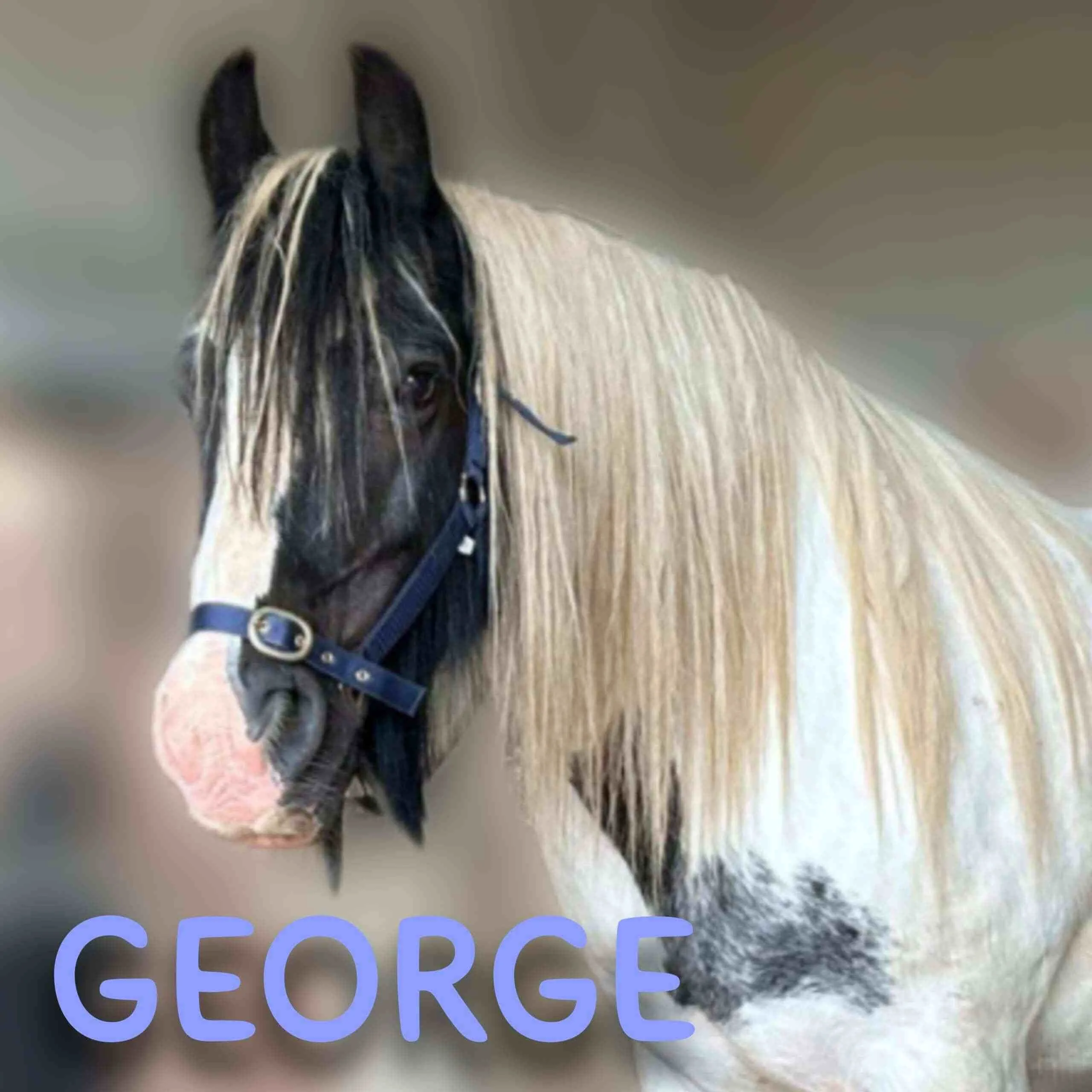 George