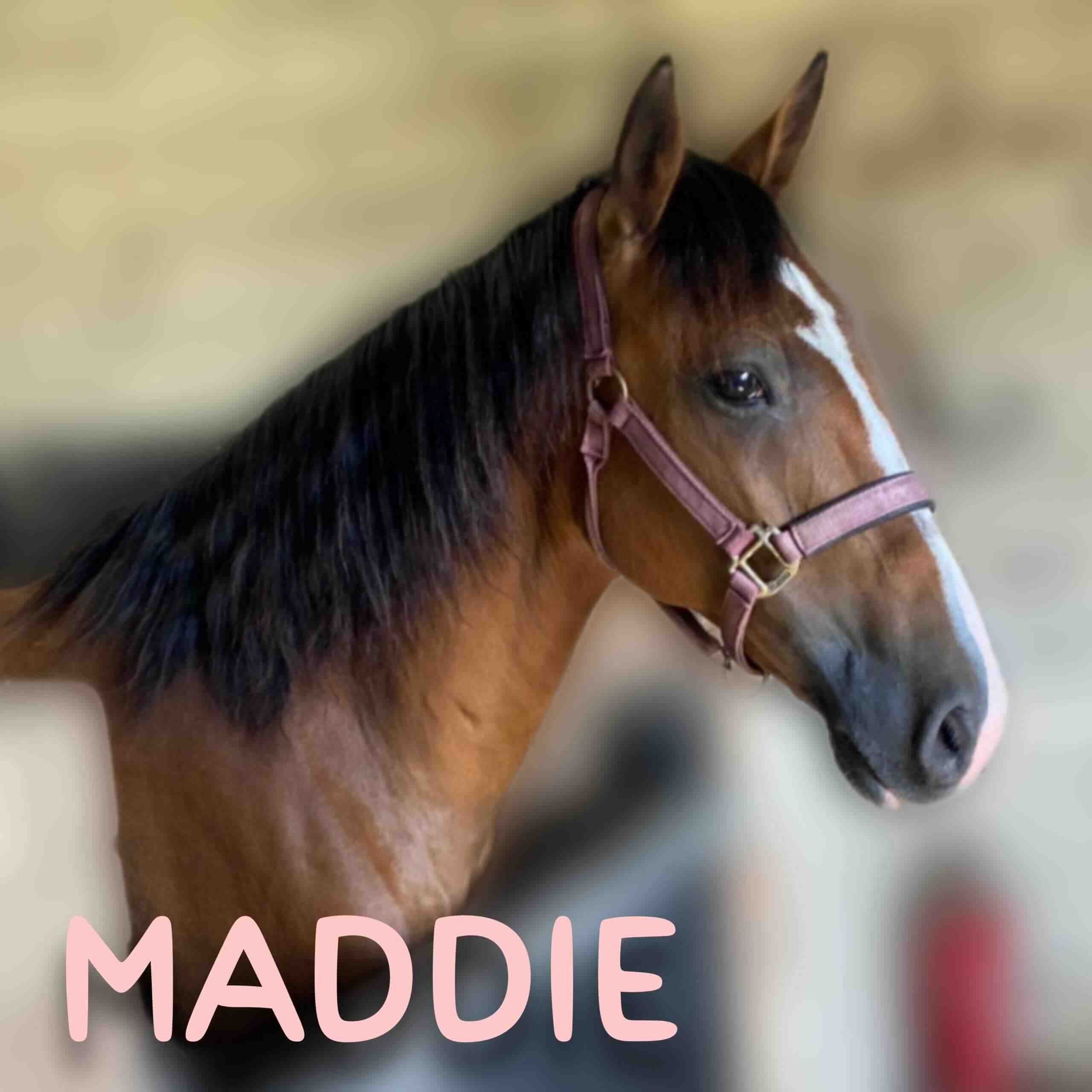 Maddie