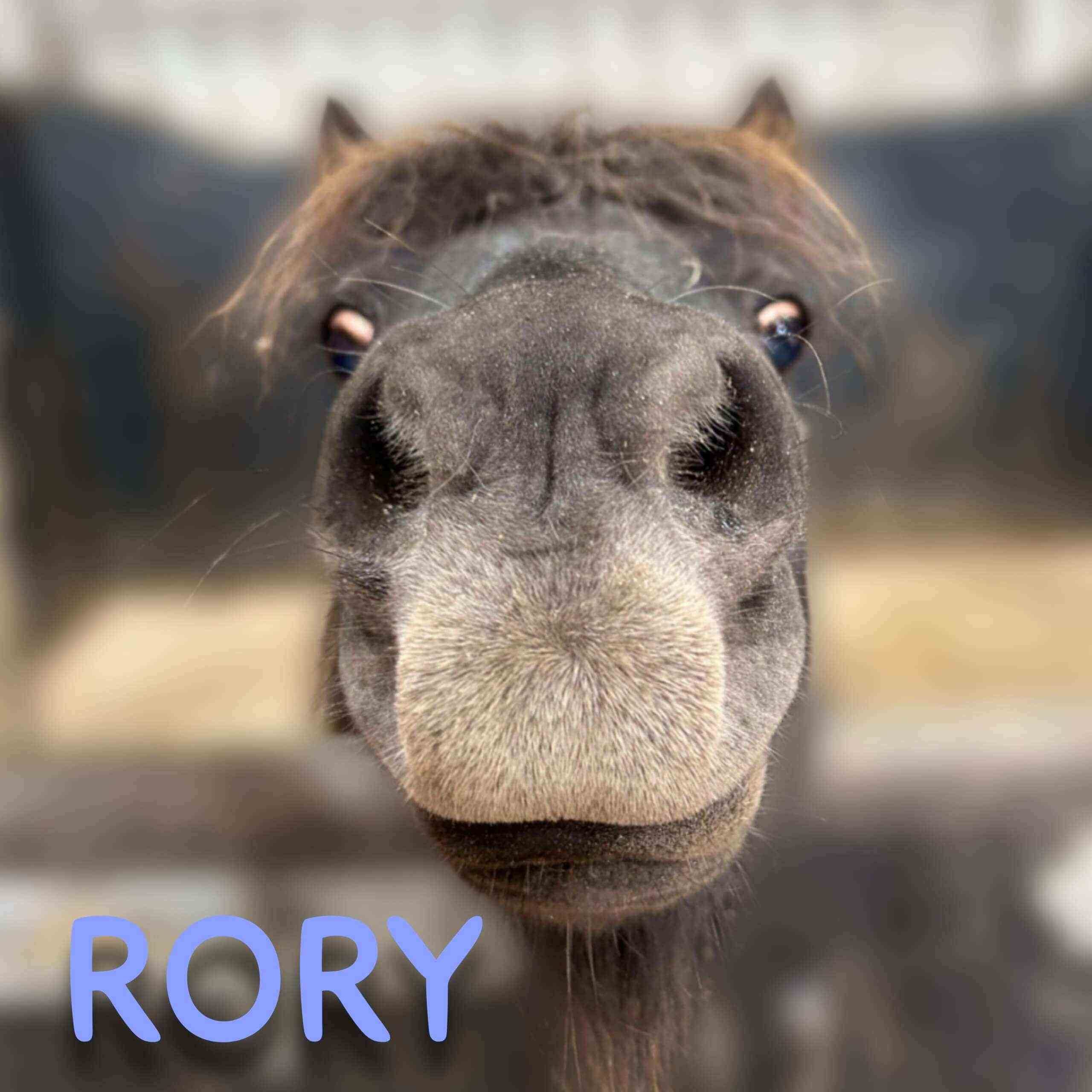 Rory