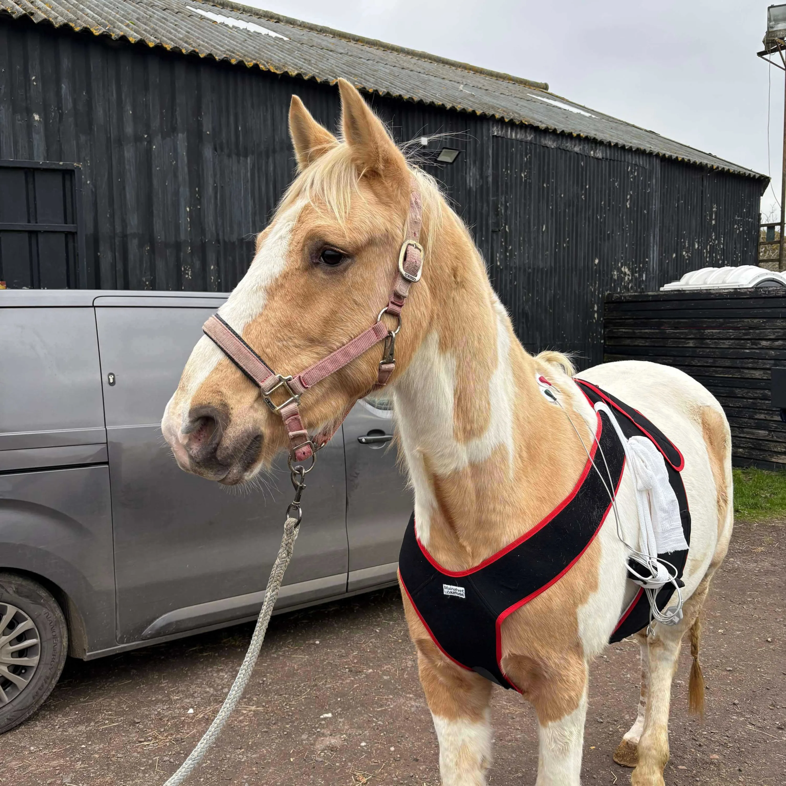 462552046 550603111011147 6599766183851647294 n 2