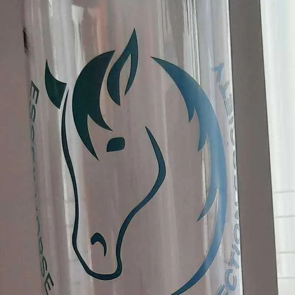 20210302 131512 600x1859 1