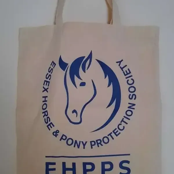 20210302 130114 600x1333 jpg 1