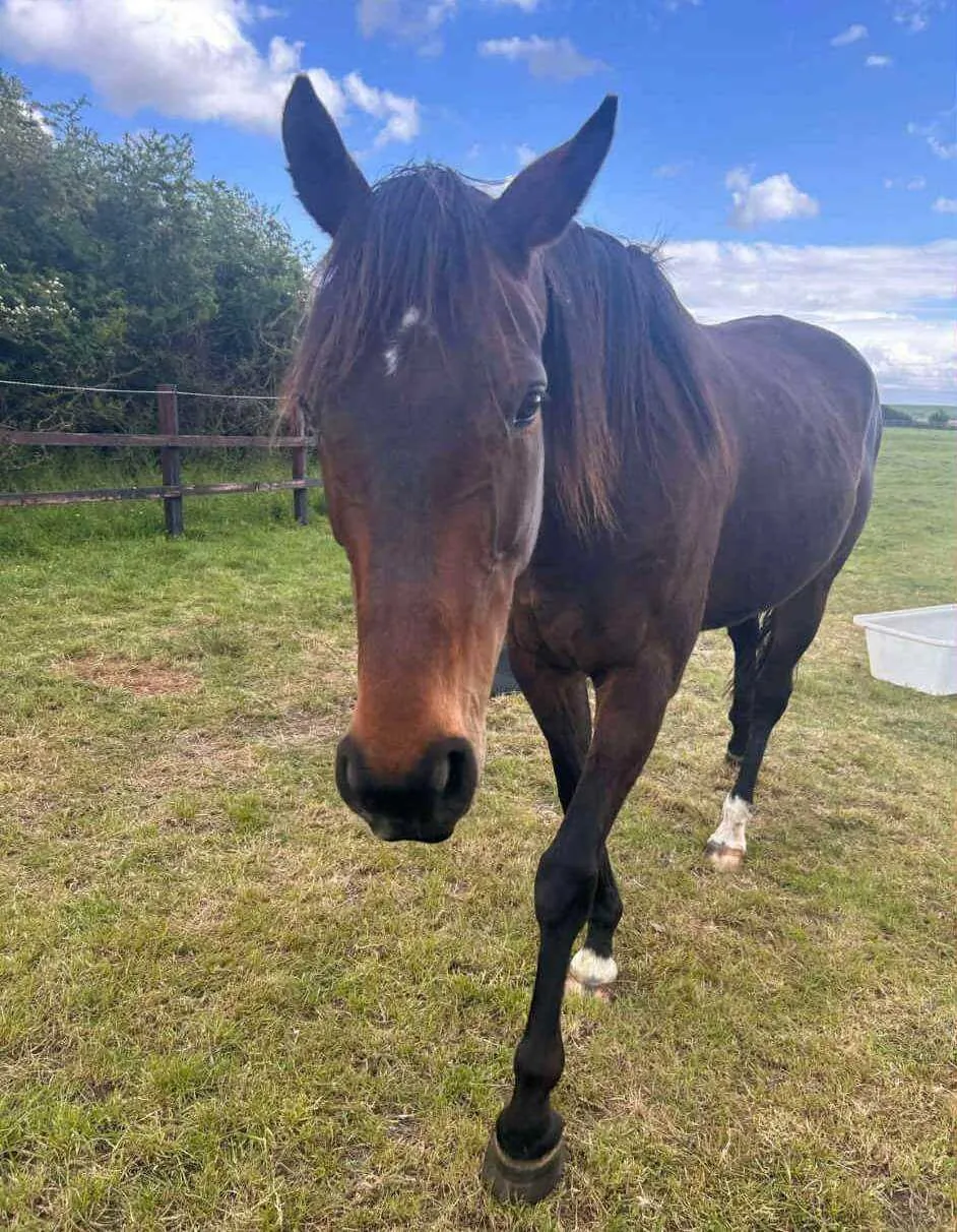 4d066dfe 76b5 42bb 835d 803c8b0824d0