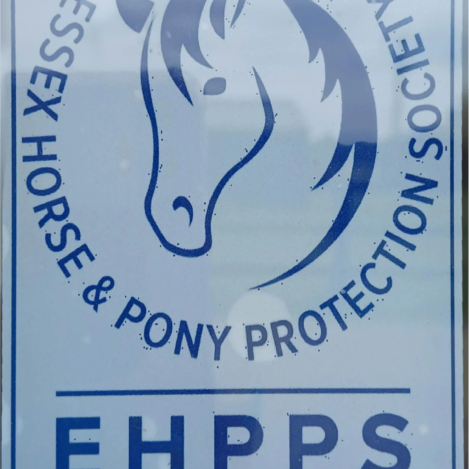 Car sticker