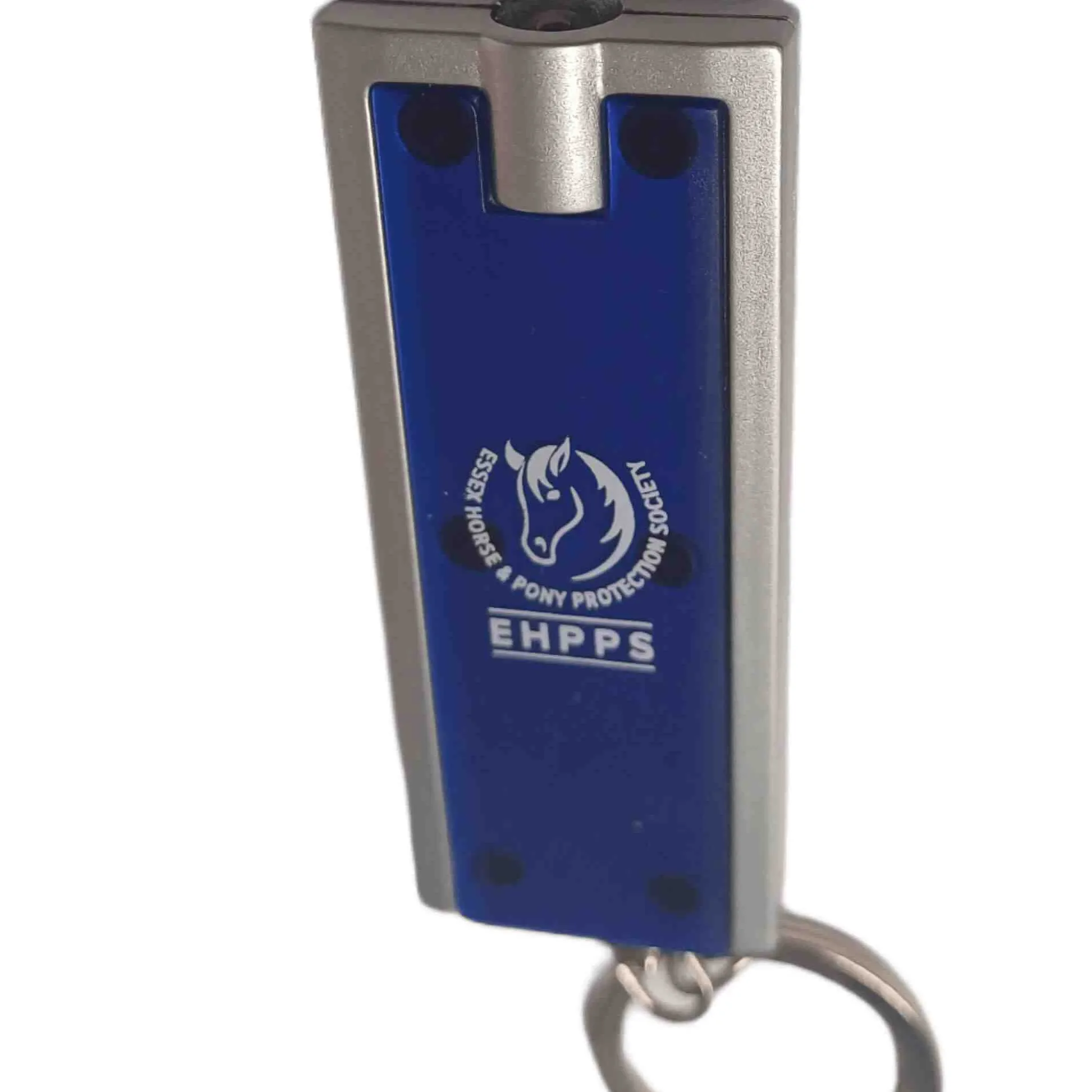 Torch keyring