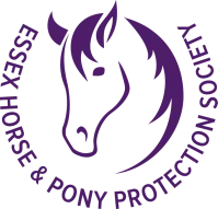 EHPPS LOGO circle