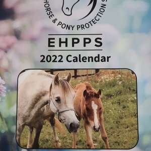 EHPPS 2022 Charity Calendar